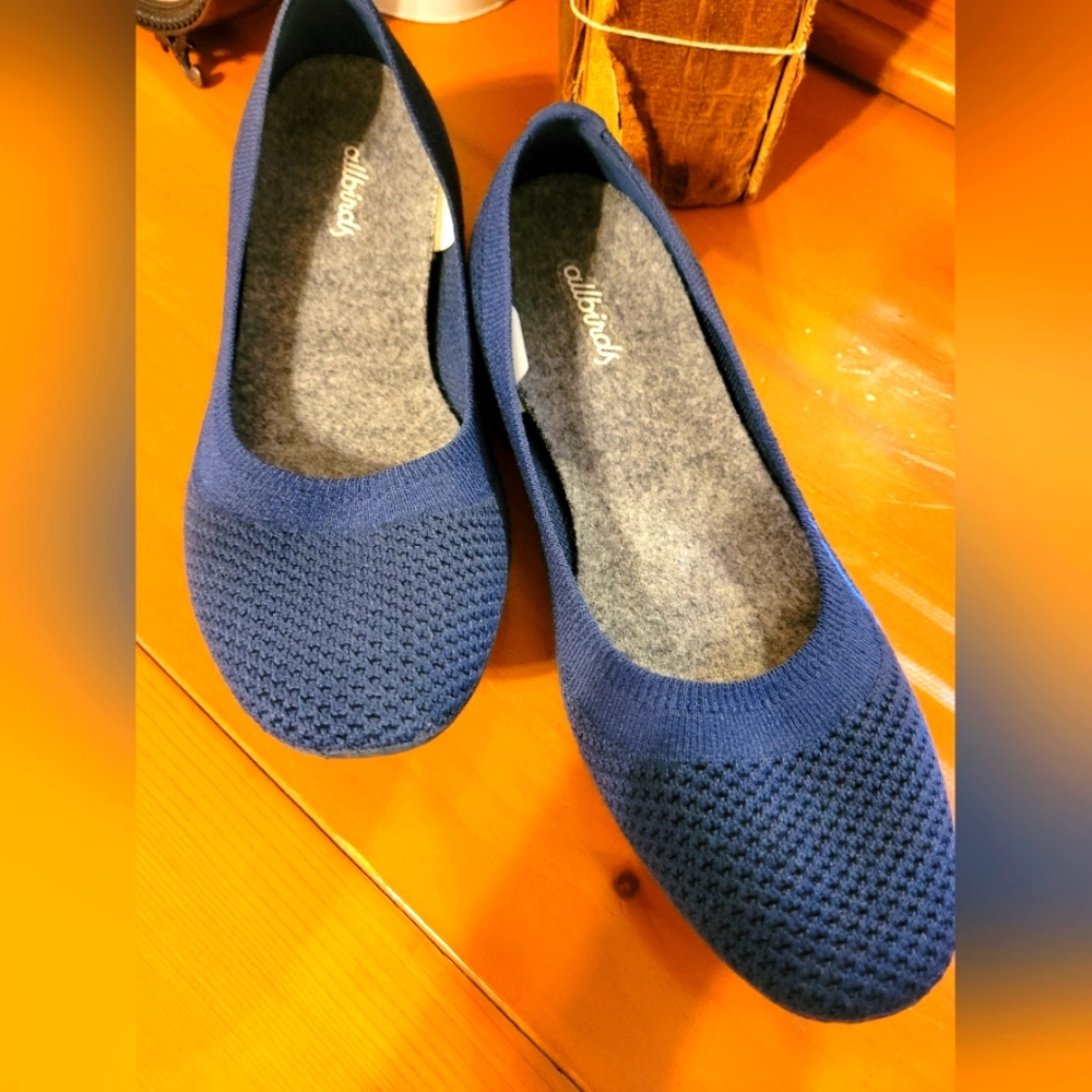 New Allbirds ballet flats